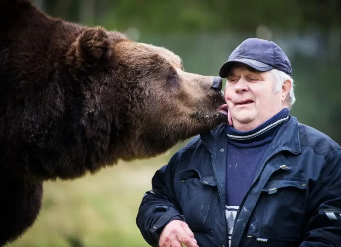 Sulo Karjalainen kuolinsyy